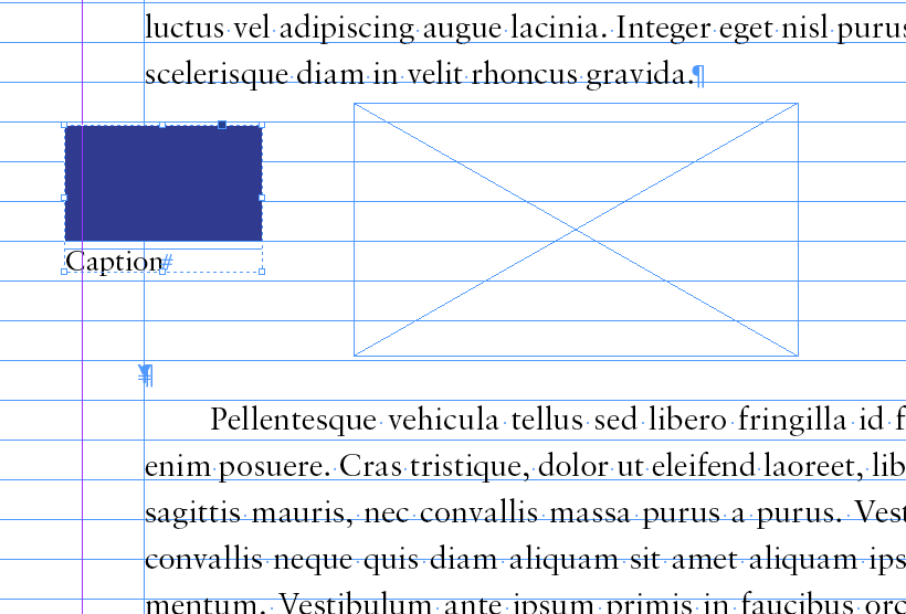 Image and Caption step 1