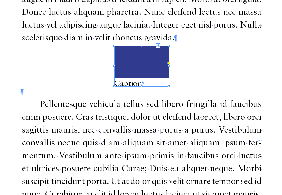 Image and Caption step 3