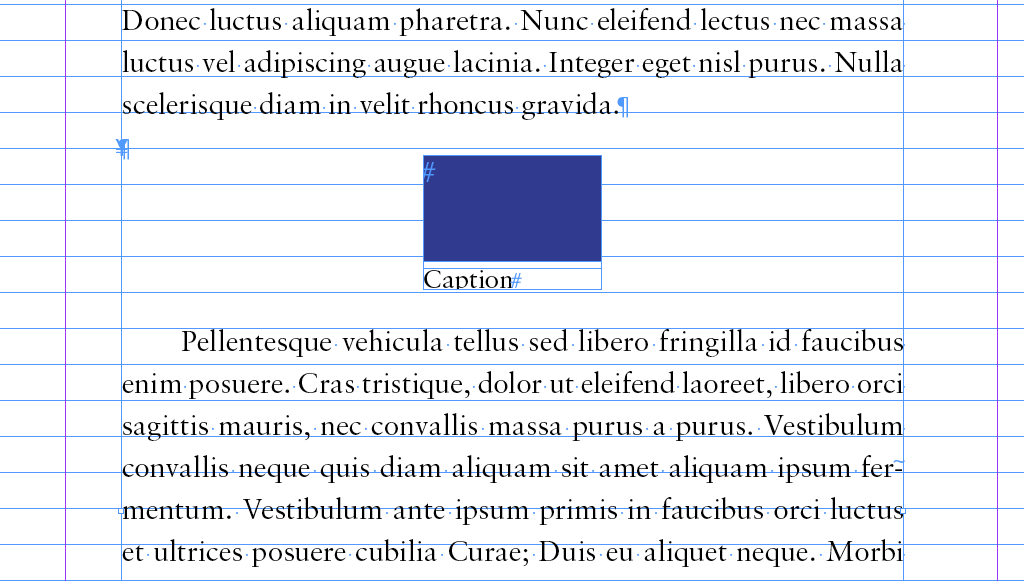 Image and Caption step 4