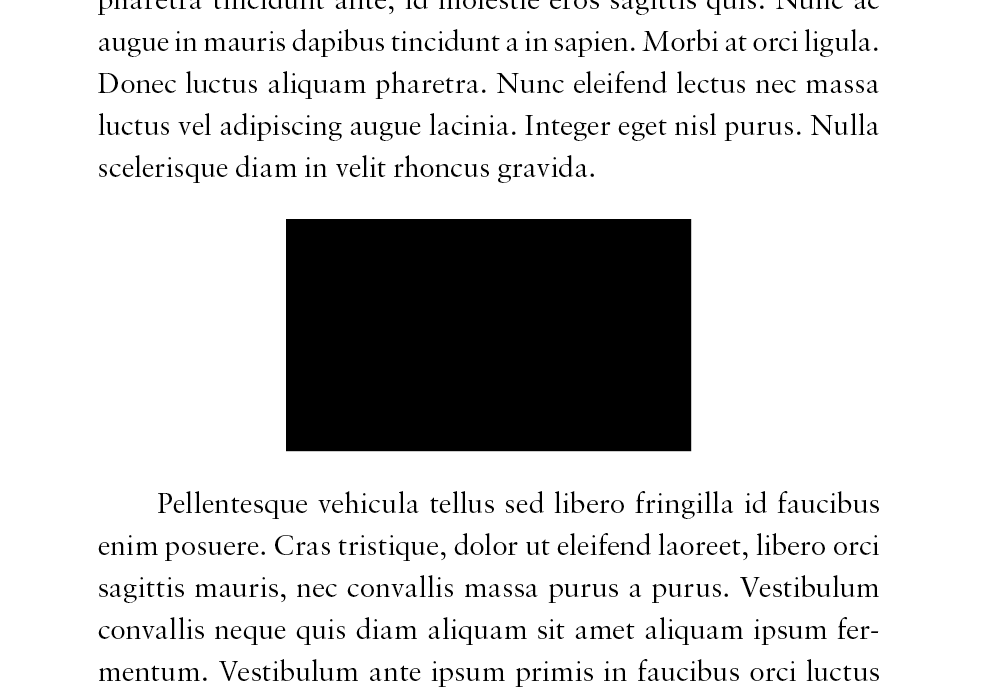 Text and Image final result